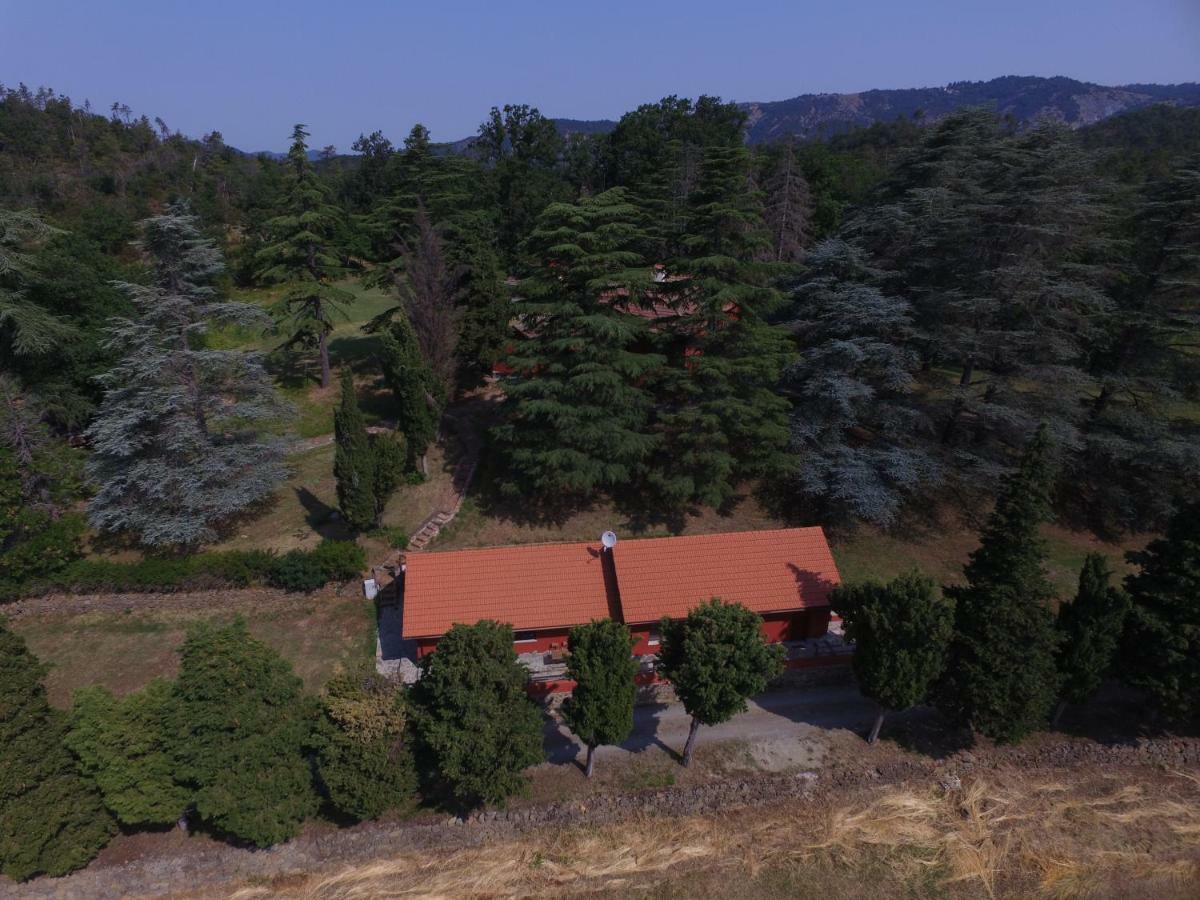 Le Murazze Holiday Houses Ponzone 外观 照片